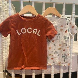 Little Co. 3T Tee Shirt Bundle